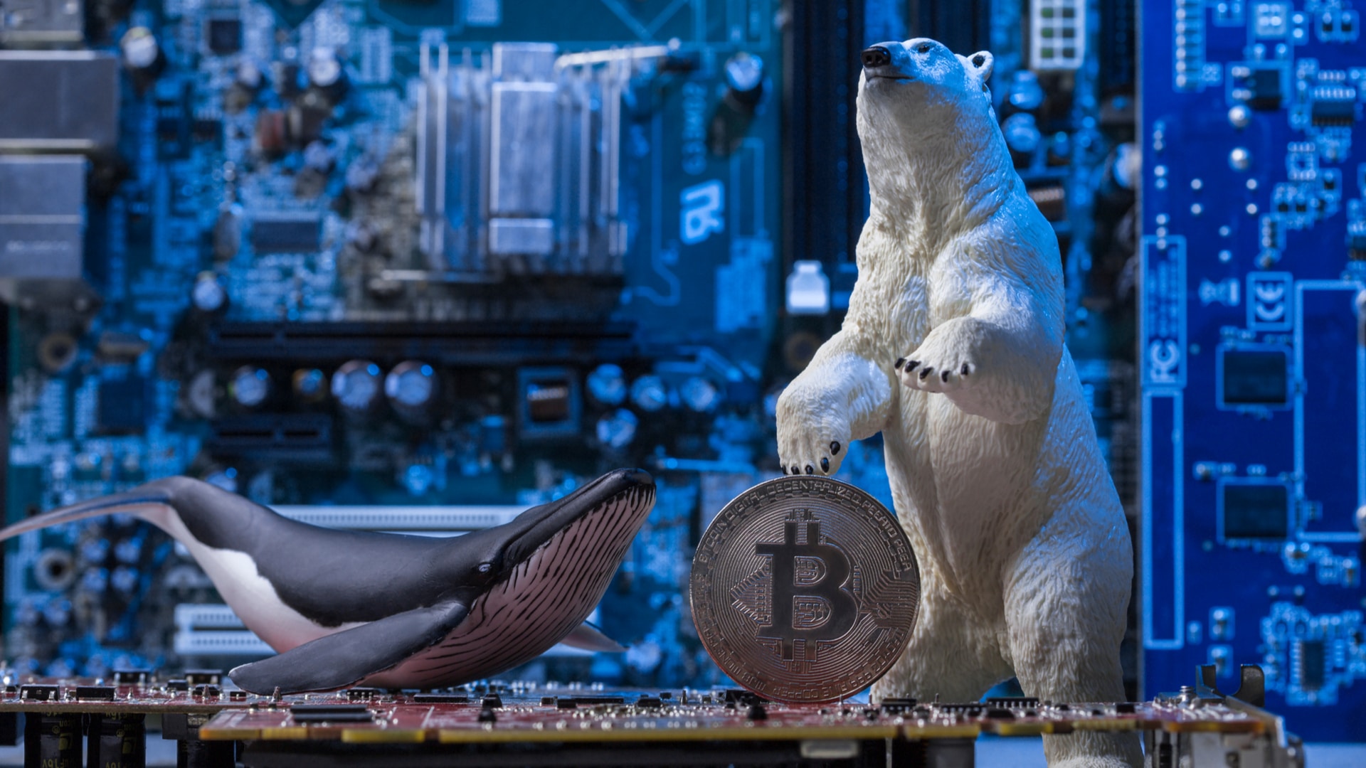Investidor é liquidado em R$ 500 milhões apostando contra o Bitcoin