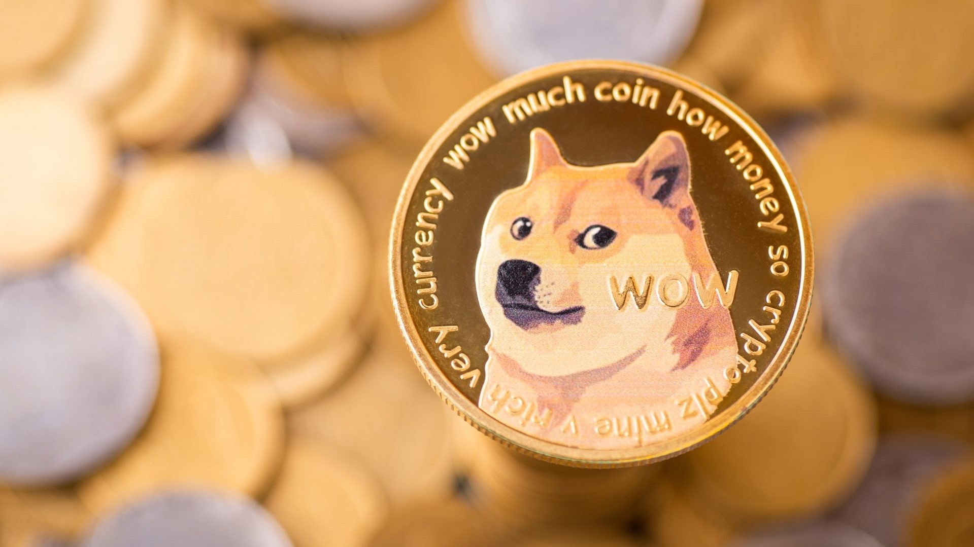 Empresa lança tesouraria de Dogecoin (DOGE); ações despencam