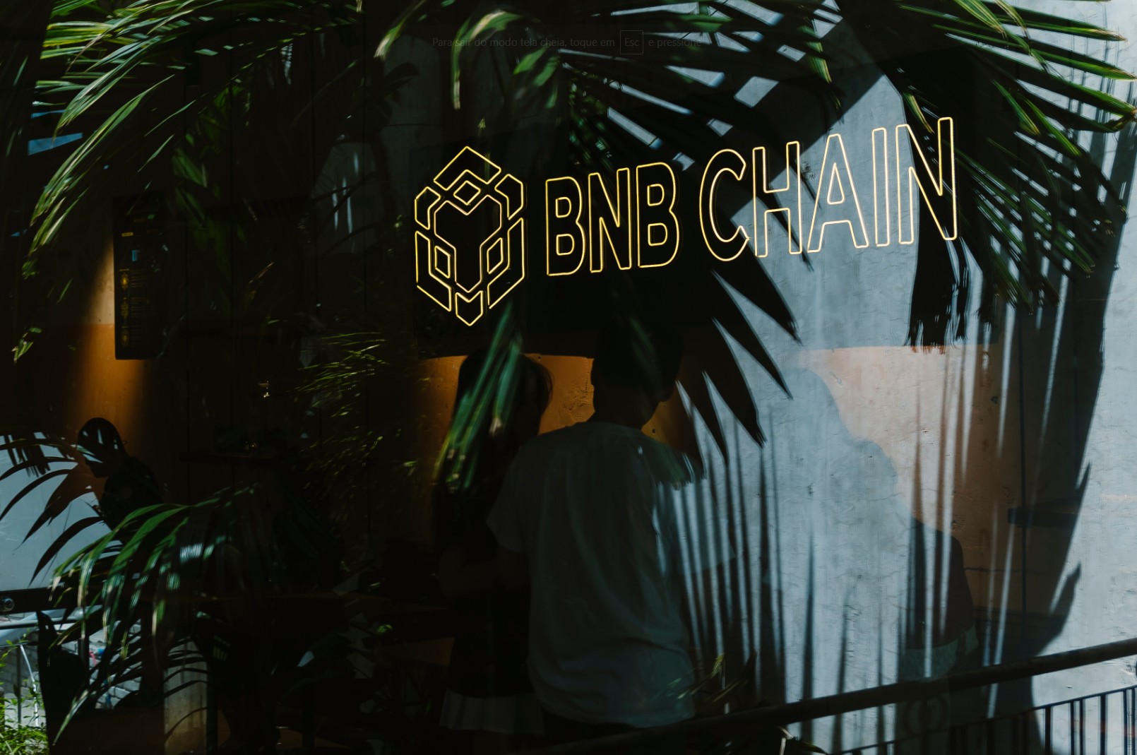 Investidores caem em golpe após BNB Chain ter rede social hackeada