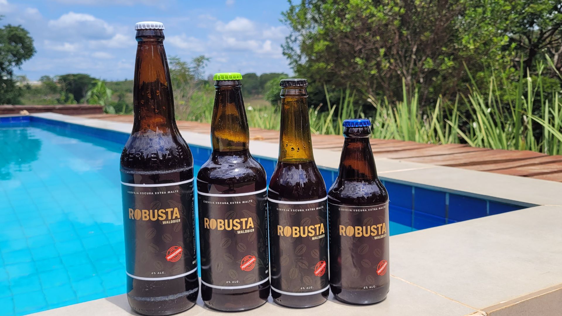 Brasileiro cria cerveja artesanal tokenizada em Rondônia