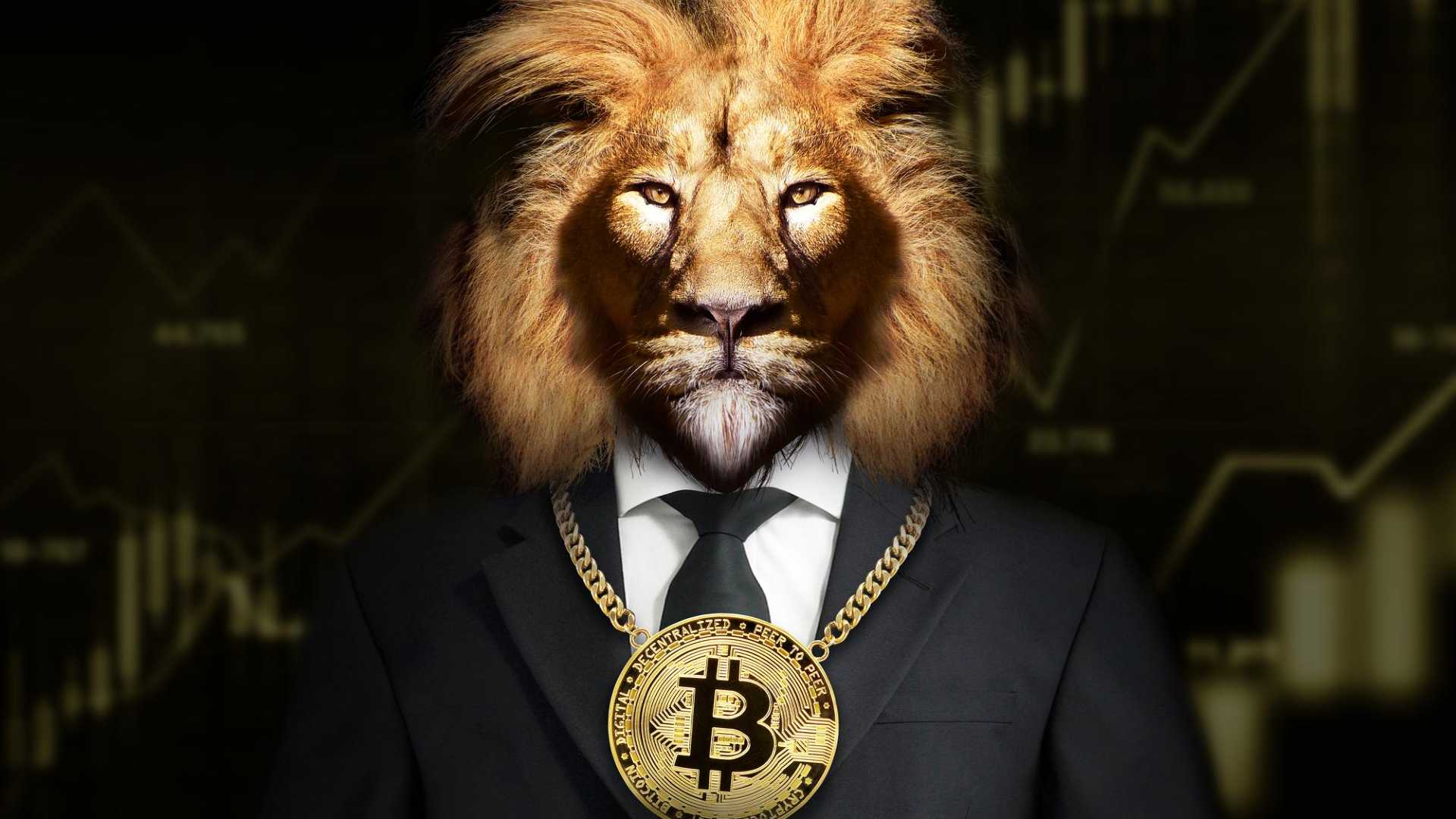 Como declarar criptomoedas no IR (e evitar malha fina)