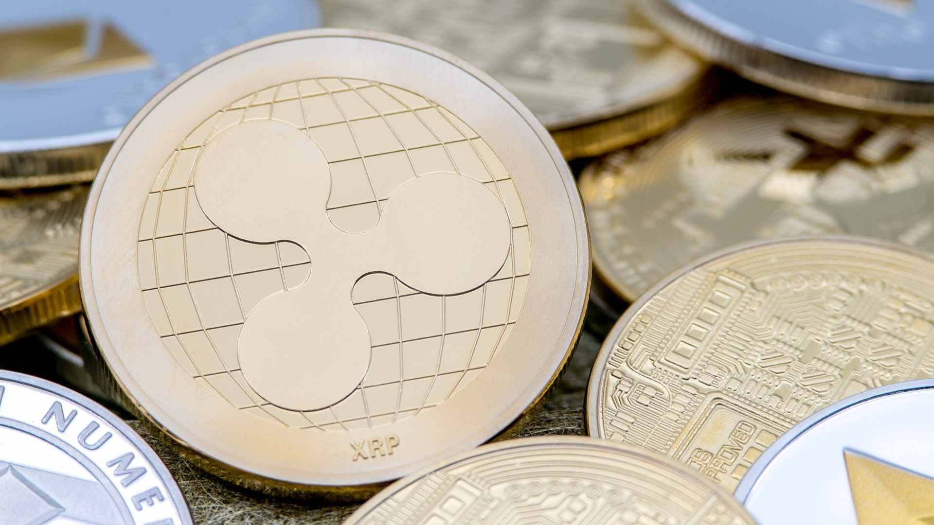 Ripple lança o University Digital Asset Xcelerator (UDAX) no Brasil para impulsionar o ecossistema do XRP